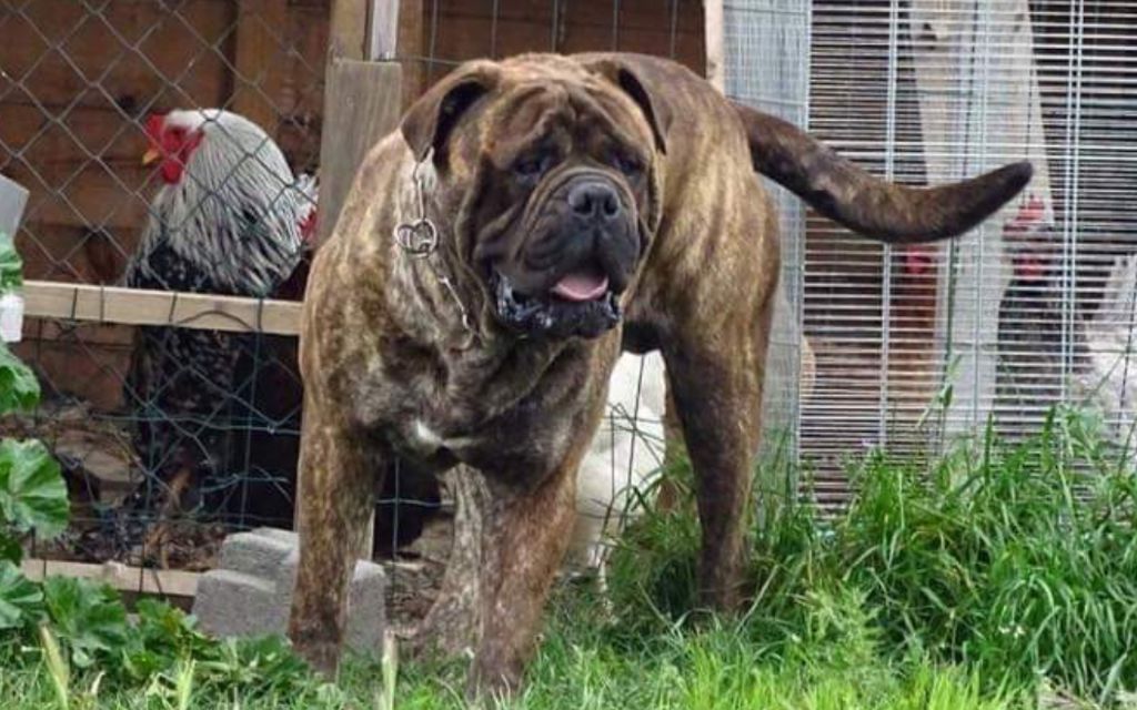 Hatila Des Grottes D'avallone